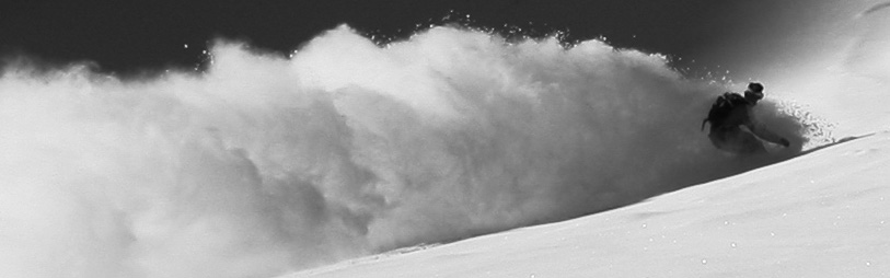 web rider (1 von 1) Kopie