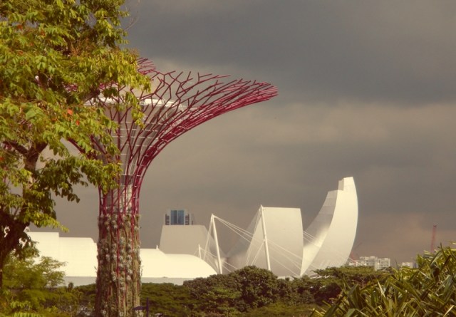 web malysia nature 10