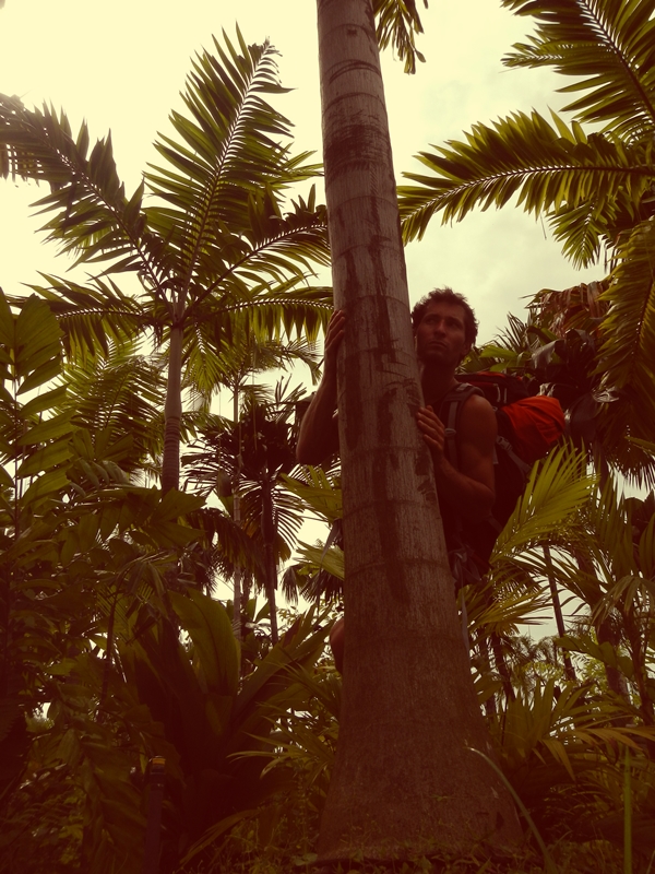 web malysia nature 11