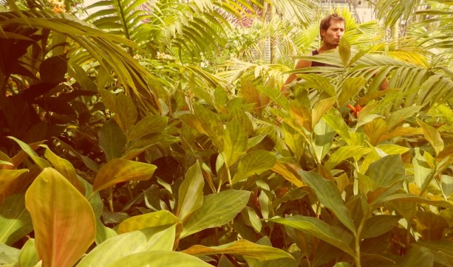 web malysia nature 12