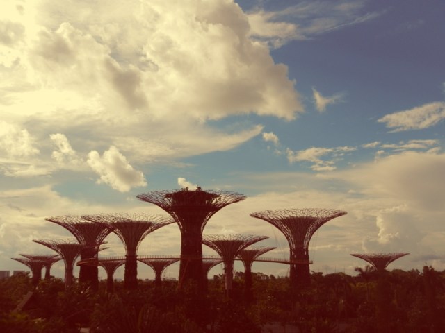 web malysia nature 2