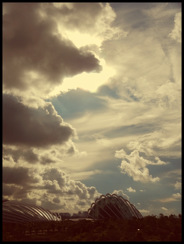 web malysia nature 3