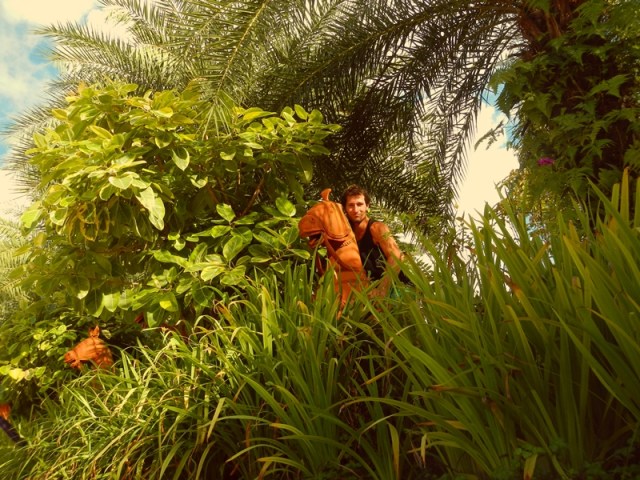 web malysia nature 6