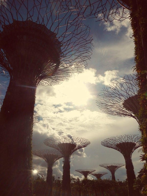 web malysia nature 7