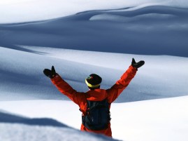 made by iris kammerhofer