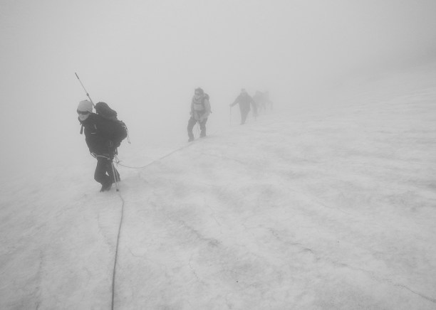 web medel nature 15 copy