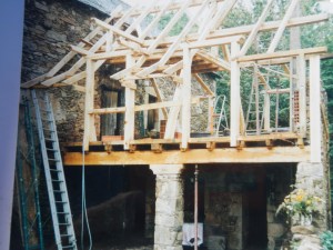 porcherie 3 DSCN0868