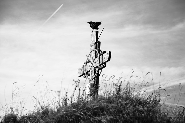 web DSC_3142 Kopieb Kopie