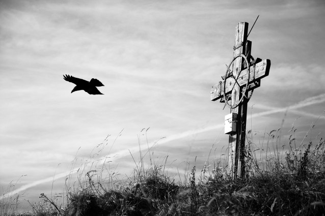 web DSC_3143 Kopieb Kopie