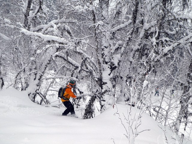 web P1010463 Kopie.jpg