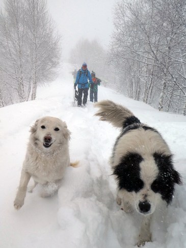 web P1010470 Kopie.jpg