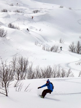 web P1010857 Kopie.jpg