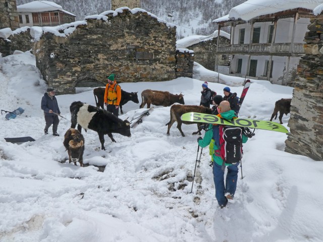 web P1030167 Kopie.jpg