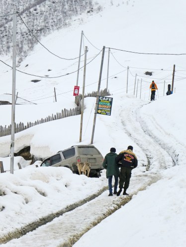 web P1030381 Kopie.jpg