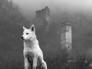 web P1030748 Kopie.jpg